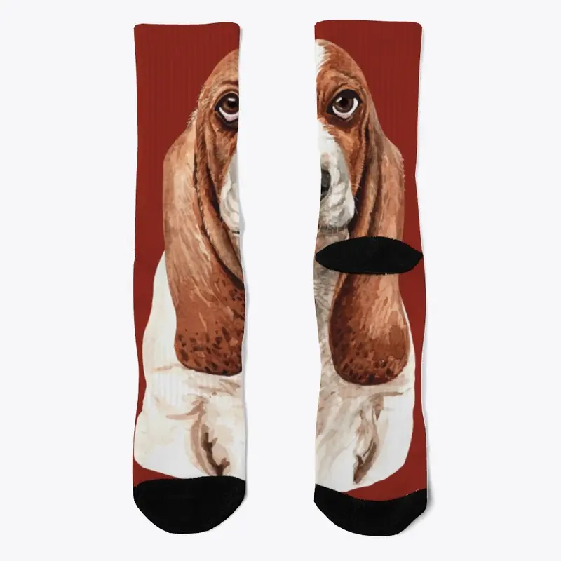 Basset Hound