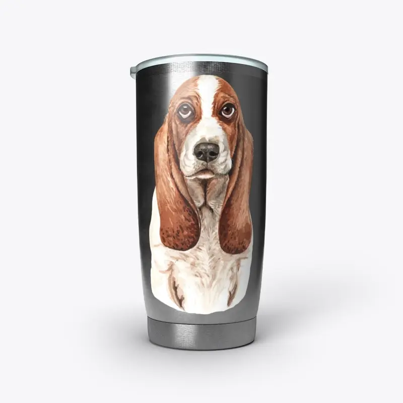 Basset Hound