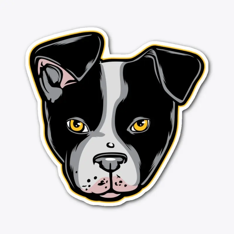 Boston Terrier