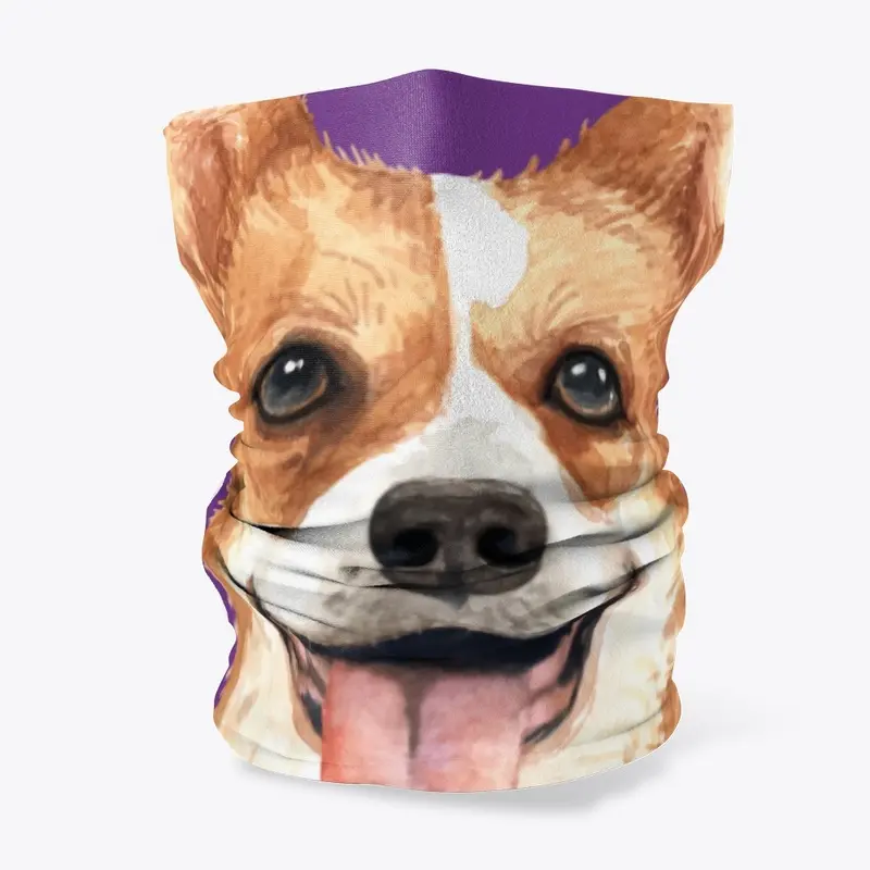 Corgi