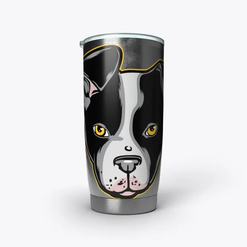 Boston Terrier