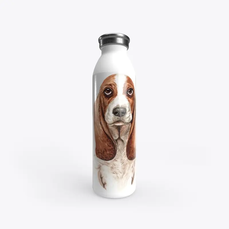 Basset Hound