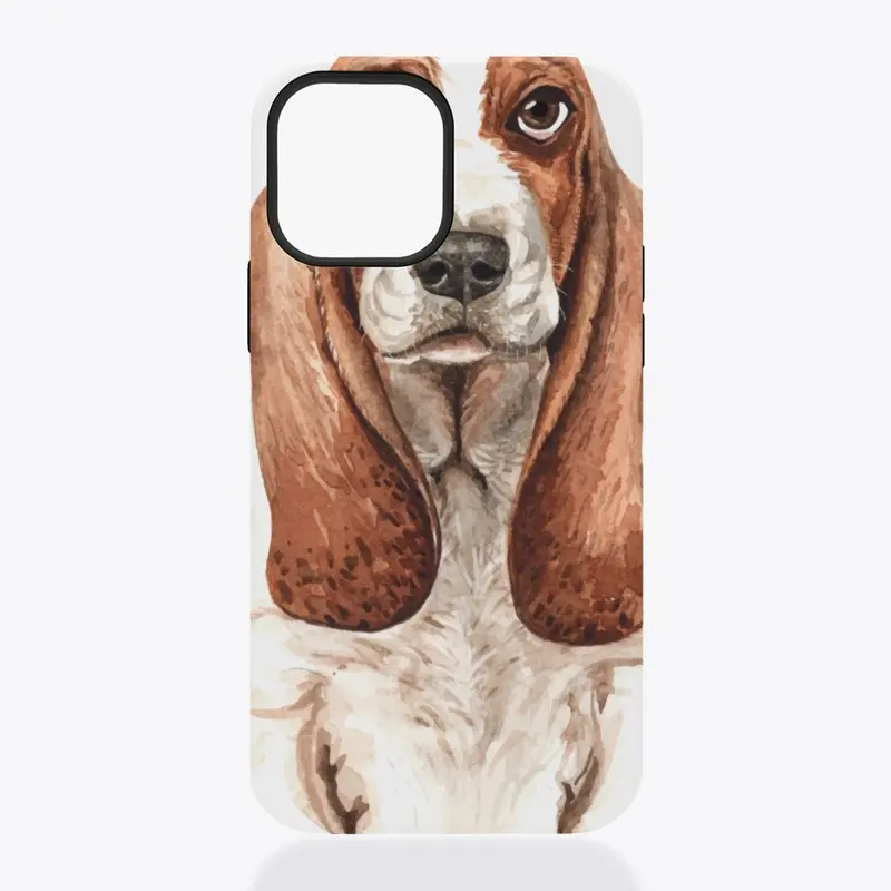 Basset Hound