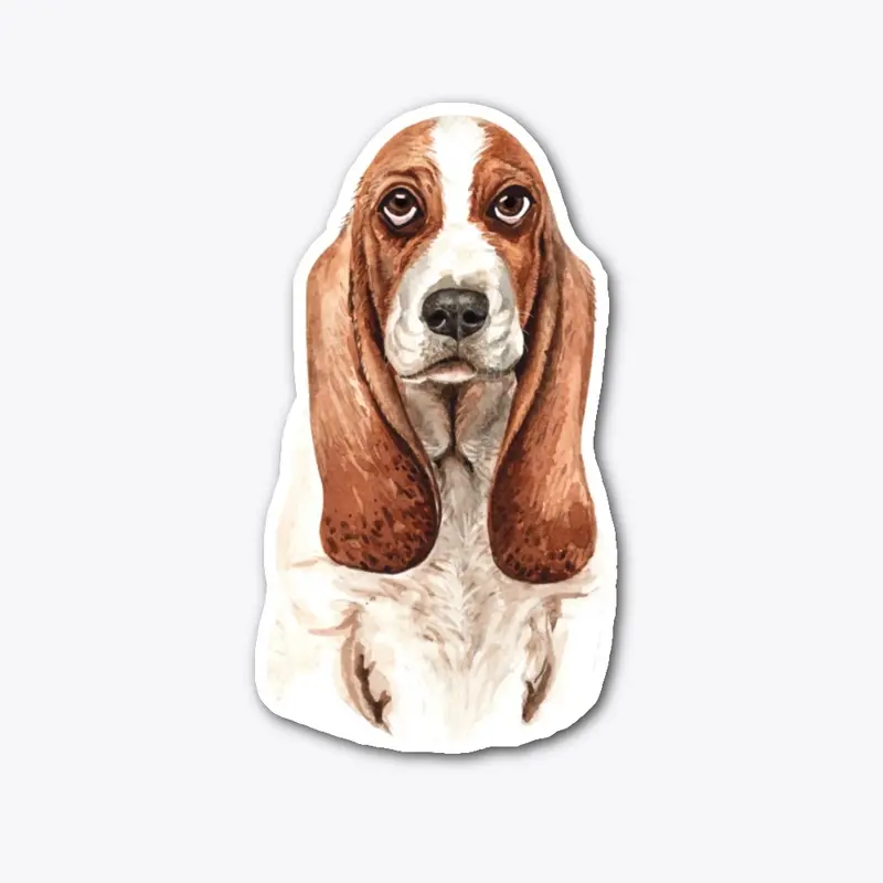 Basset Hound