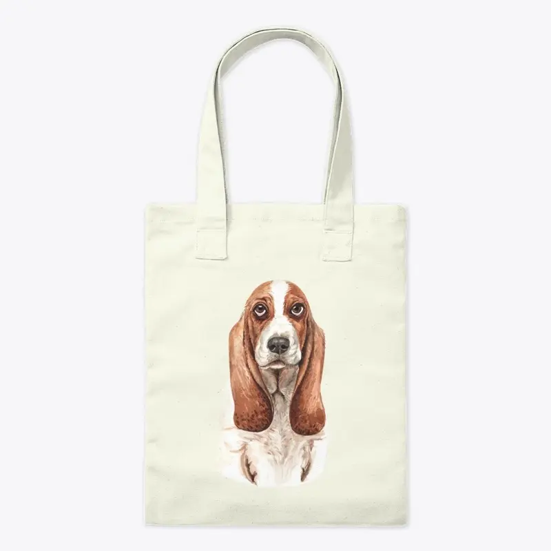 Basset Hound