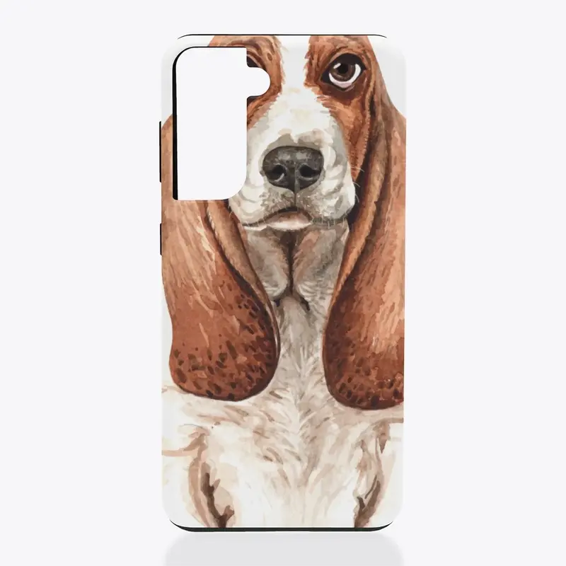 Basset Hound