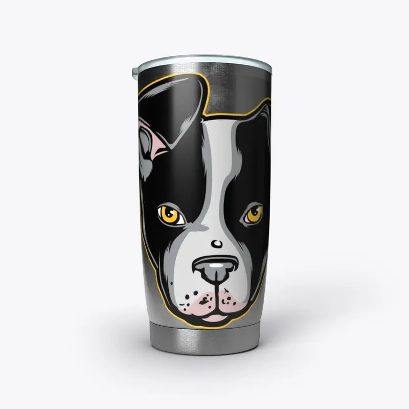 Boston Terrier