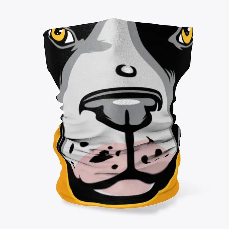 Boston Terrier